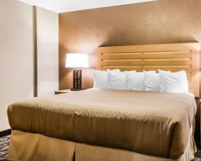 Quality Inn & Suites Warren - Detroit - Chambre