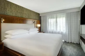 Embassy Suites by Hilton Detroit Metro Airport - Chambre