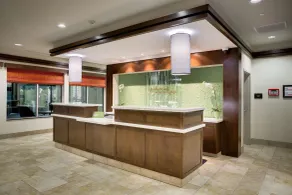 Hilton Garden Inn North Houston Spring - Réception