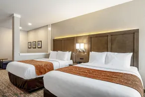 Comfort Suites Grove City - Columbus South - Chambre