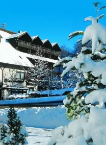Hotel Schwarzwaldhof - Pool