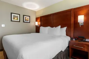 Comfort Inn & Suites Euless DFW West - Chambre