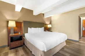 Fairway Inn and Suites, an Ascend Collection Hotel - Værelse