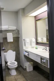 Parkwood Inn & Suites - Salle de bain
