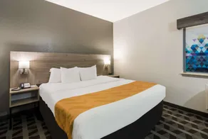 Quality Inn & Suites Waco North - Room