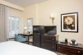 Hampton Inn & Suites Cleveland-Airport/Middleburg Heights - Chambre