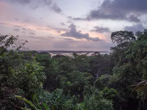La Loma Jungle Lodge and Chocolate Farm - Room