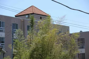 Hotel Kuki - Extérieur