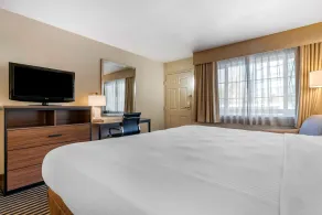 Best Western Town House Lodge - Chambre