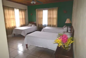 Seagrape Plantation Resort & Dive Center - Room
