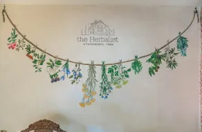 the Herbalist - Rezeption