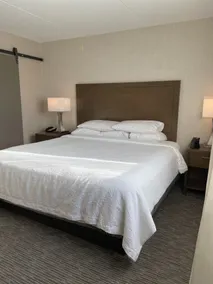 Embassy Suites by Hilton Chicago Schaumburg Woodfield - Chambre