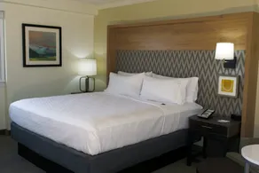 Holiday Inn Binghamton-Downtown Hawley Street by IHG - Chambre