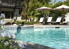 Roman Spa Hot Springs Resort - Piscine