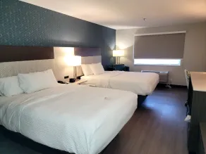 La Quinta by Wyndham Santa Rosa - Chambre