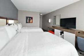 Hampton Inn Chicago McCormick Place - Room