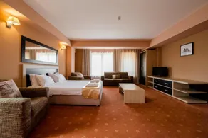 Hotel Oxford Inn & Suites - Room
