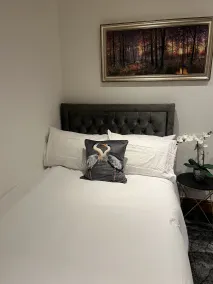 TJ Homes - Entire place for 5 Guests - London - Room