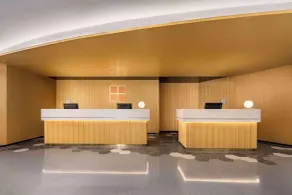 Hilton Garden Inn Shanghai Lujiazui - Reception