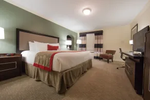 Ramada by Wyndham Houston Intercontinental Airport East - Chambre