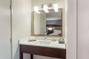 La Quinta by Wyndham Rockford - Salle de bain