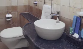 Treebo Chalets, Nagpur Airport - Bathroom