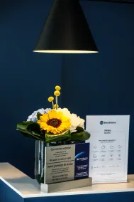 Best Western Mulhouse Salvator Centre - Receção