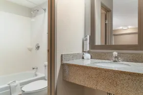 Red Roof Inn Detroit-Rochester Hills/ Auburn Hills - Salle de bain