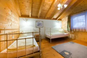 Feriendorf Wildschönau-Near ski area - Camera