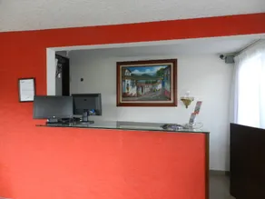 Hotel Finca los Girasoles - Reception
