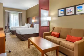 Comfort Suites Clayton - Garner - Chambre