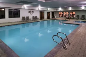 Hampton Inn & Suites Carson City - Piscine