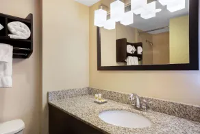 La Quinta by Wyndham Springfield - Banheiro