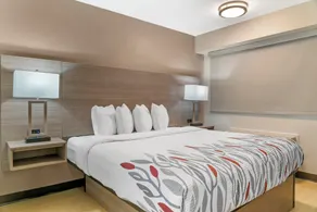 Red Roof Inn Detroit-Rochester Hills/ Auburn Hills - Chambre