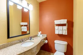 Sleep Inn & Suites Tyler South - Salle de bain