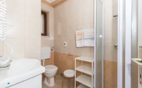 Villa Voinic - Baño