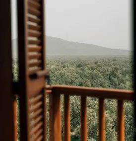 ACC Olives Luxury Boutique Hotel - View from room