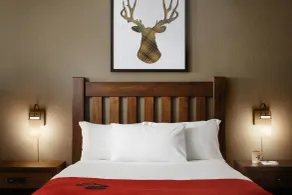 Great Wolf Lodge Pocono Mountains, PA - Chambre