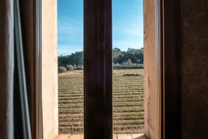 Coliving Rural Els Masos d'en Coll - Can Barnosell - Udsigt fra værelset