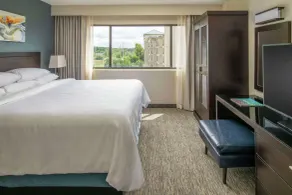 Embassy Suites by Hilton Seattle Tacoma International Airport - Vue de la chambre