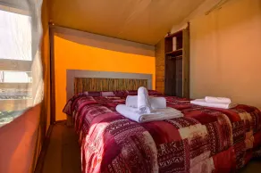 Glamping Diacceroni - Room