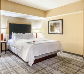 Cambria Hotel Pittsburgh - Downtown - Room