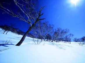Yuzawa Ski House - Sportsbane