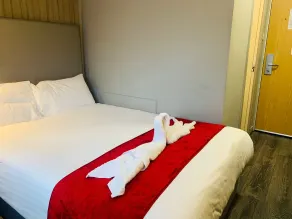 Hotel Lily - Chambre