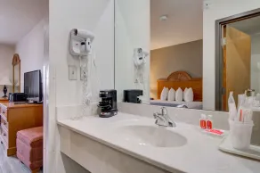 Econo Lodge Livingston Gateway to Yellowstone - Salle de bain