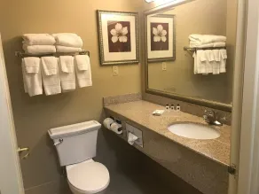 Country Inn & Suites by Radisson, Wilmington, NC - Bathroom