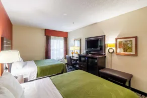 Quality Inn Texas City I-45 - Chambre