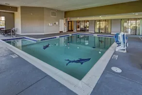 Hampton Inn Indianapolis-sw/plainfield - Piscine