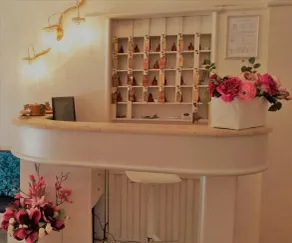 Hotel Ariston - Réception