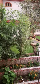 Morales Guest House - Room